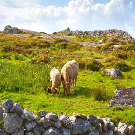 فندق The Wild Atlantic 3*