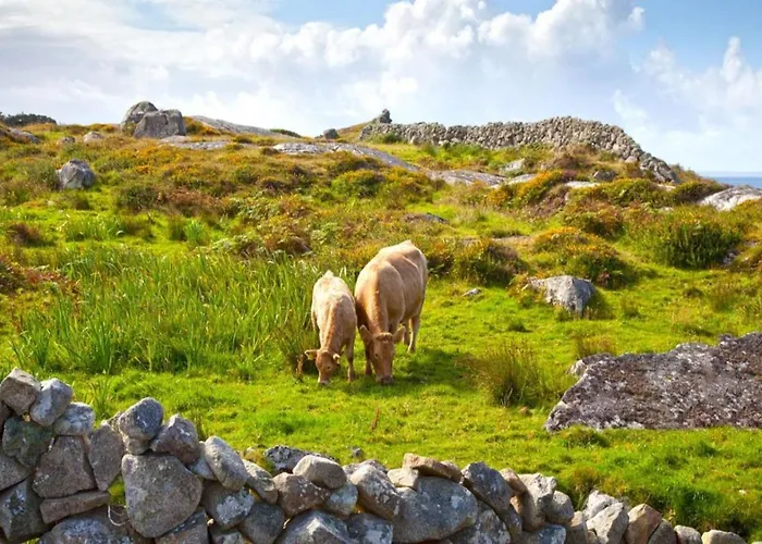 Отель The Wild Atlantic 3*